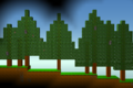 A forest of pine trees with pine cones and dropbears